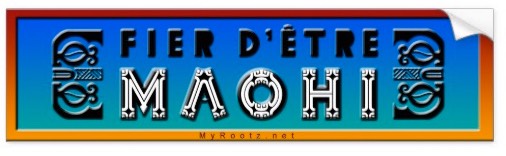 bumper-fiermaohi-01B