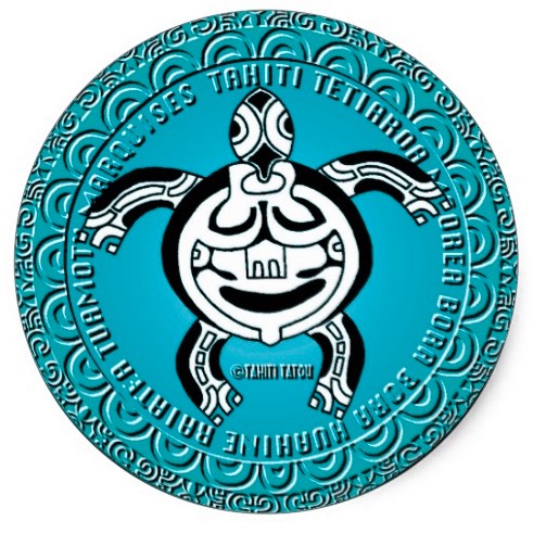 turtle-rond
